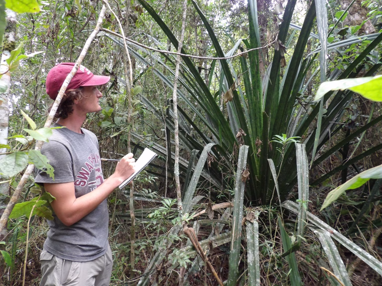 A Peculiar Clarity Amidst the Dead