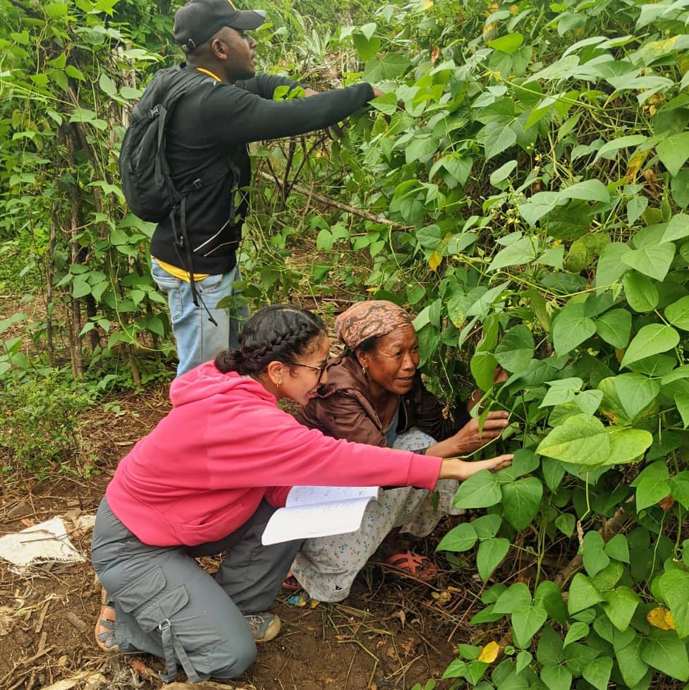 Two women kneeling among dense green vines, examining leaves while a man with a backpack stands behind them in a field.