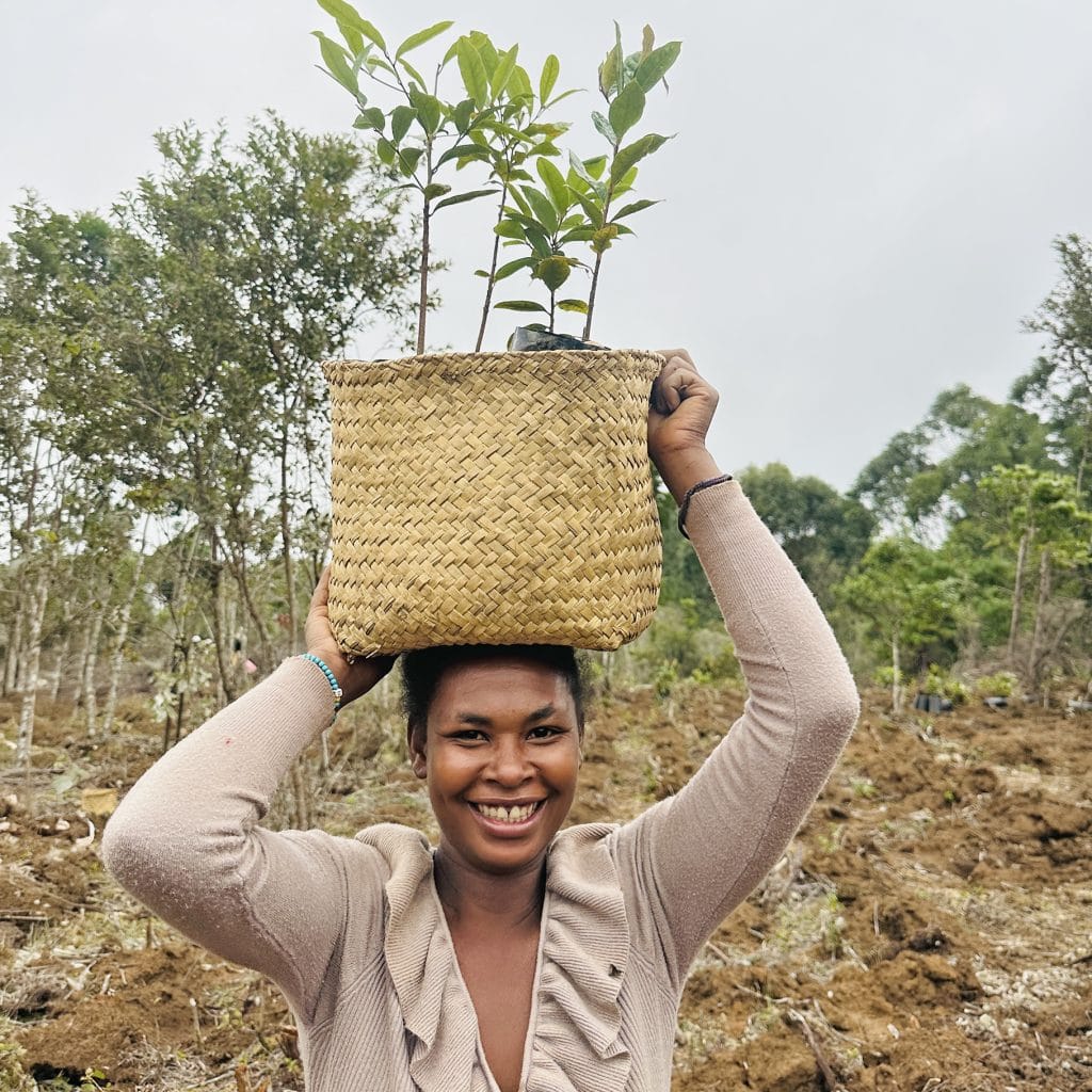 Person balances a woven basket containing young green saplings on their head outdoors, smiling in a field