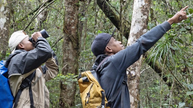 Two hikers in a dense forest; one aims a camera while the other reaches up to grab a branch from a tree.