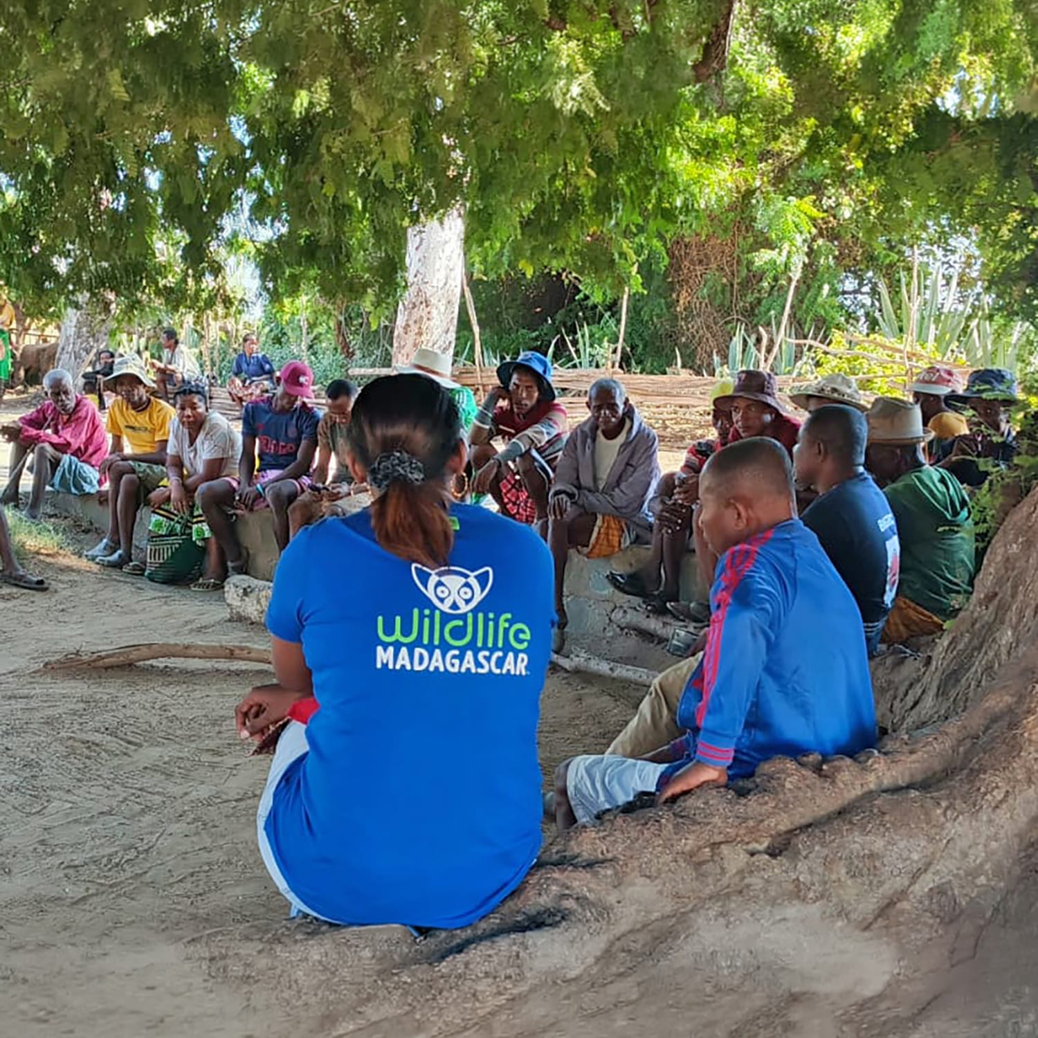 Group of villagers sitting on a low wall under a large tree, listening to a speaker in a bright blue Wildlife Madagascar shirt (logo visible).