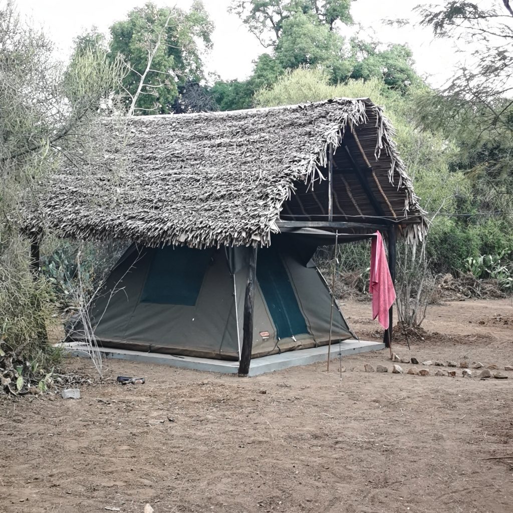 A canvas tent beneath a roof of dried palm fronds in a dry, open clearing with a pink cloth hanging nearby
